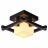 Потолочный светильник Arte Lamp A8252PL-1CK
