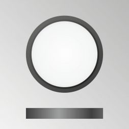 Потолочный светодиодный светильник Citilux CL738121N Бейсик