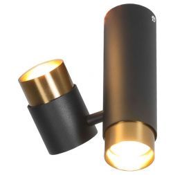 Потолочный светильник Loft Koyukuk LSP-8378