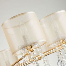 Подвесная люстра Favourite 2891-10P Ventus