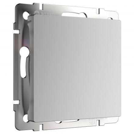 Заглушка декоративная Werkel W1159206 серебро (WL06-70-11)