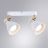 Спот Arte Lamp Fafnir A5047PL-2WH