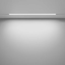 Трековый светодиодный светильник Maytoni Basis TR030-2-24W3K-W