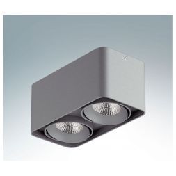 Точечный светильник Lightstar 212529