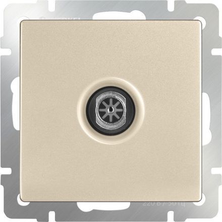 ТВ-розетка оконечная Werkel W1183011 шампань (WL11-TV)