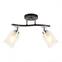 Спот Citilux CL156122