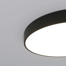 Потолочный светильник 90320/1 черный Eurosvet