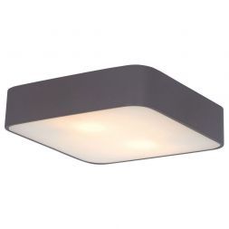 Светильник потолочный Arte Lamp A7210PL-2BK
