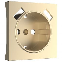 Накладка для USB розетки Werkel W1179511 шампань (WL11-USB-CP)