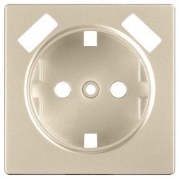Накладка для USB розетки Werkel W1179511 шампань (WL11-USB-CP)