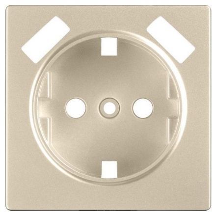 Накладка для USB розетки Werkel W1179511 шампань (WL11-USB-CP)