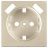 Накладка для USB розетки Werkel W1179511 шампань (WL11-USB-CP)
