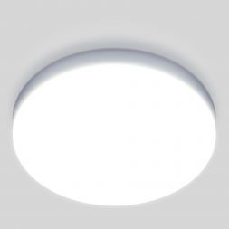 Накладной потолочный светодиодный светильник Elektrostandard DLR043 10W 4200K