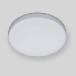 Накладной потолочный светодиодный светильник Elektrostandard DLR043 10W 4200K