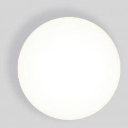 Накладной потолочный светодиодный светильник Elektrostandard DLR043 10W 4200K