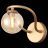 Светильник настенный ST Luce SL1502.201.01 LEGATEZZA