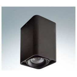 Точечный светильник Lightstar 212537