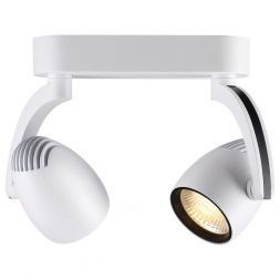 Спот Novotech Zeus 357870