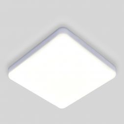 Накладной потолочный светодиодный светильник Elektrostandard DLS043 10W 4200K