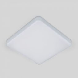 Накладной потолочный светодиодный светильник Elektrostandard DLS043 10W 4200K