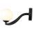 Светильник настенный ST Luce SL1502.401.01 LEGATEZZA