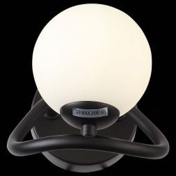 Светильник настенный ST Luce SL1502.401.01 LEGATEZZA