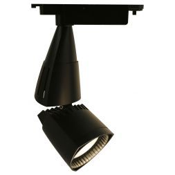 Светильник потолочный Arte Lamp A3830PL-1BK