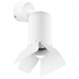 Светильник спот Lightstar RB436436