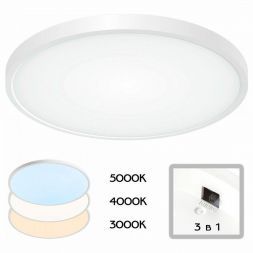 Потолочный светодиодный светильник Citilux CL738320V Бейсик