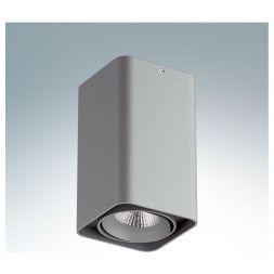 Точечный светильник Lightstar 212539