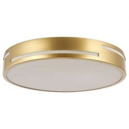 Потолочный светодиодный светильник F-Promo 2745-1C Pall