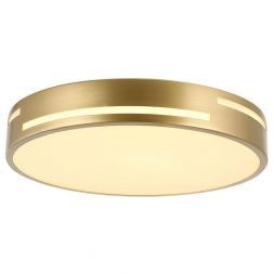 Потолочный светодиодный светильник F-Promo 2745-1C Pall