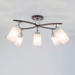 Спот Citilux CL156152