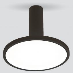 Накладной светодиодный светильник Elektrostandard DLS029 12W 4200K черный матовый