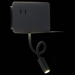 Светильник настенный ST Luce SL1576.401.02 PINAGGIO