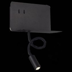 Светильник настенный ST Luce SL1576.401.02 PINAGGIO