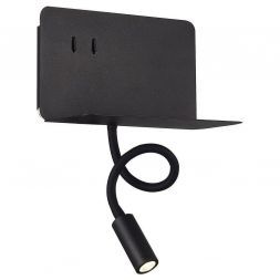 Светильник настенный ST Luce SL1576.401.02 PINAGGIO