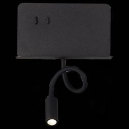 Светильник настенный ST Luce SL1576.401.02 PINAGGIO