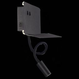 Светильник настенный ST Luce SL1576.401.02 PINAGGIO
