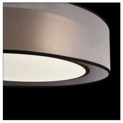 Потолочный светодиодный светильник Freya FR6005CL-L36G Zoticus