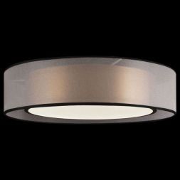 Потолочный светодиодный светильник Freya FR6005CL-L36G Zoticus