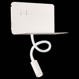 Светильник настенный ST Luce SL1576.501.02 PINAGGIO