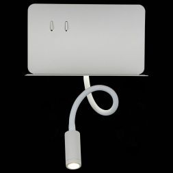 Светильник настенный ST Luce SL1576.501.02 PINAGGIO