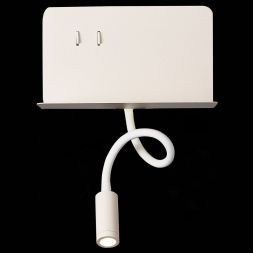 Светильник настенный ST Luce SL1576.501.02 PINAGGIO
