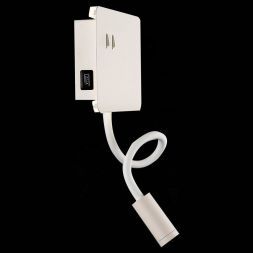 Светильник настенный ST Luce SL1576.501.02 PINAGGIO