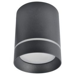 Потолочный светодиодный светильник Arte Lamp A1949PL-1BK Elle