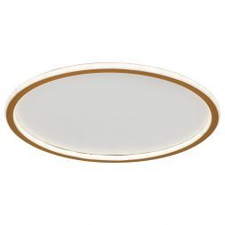 Потолочный светодиодный светильник ЭкономСвет 88008/50GD