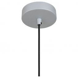 Подвесной светильник Favourite Otium 2269-1P