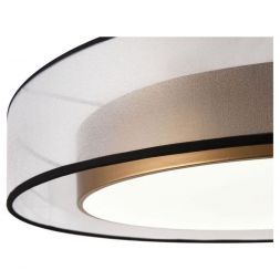 Потолочный светодиодный светильник Freya FR6005CL-L48G Zoticus