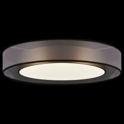 Потолочный светодиодный светильник Freya FR6005CL-L48G Zoticus